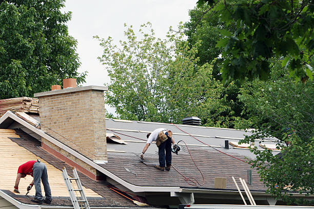 Roof Gutter Cleaning in Parkland, WA