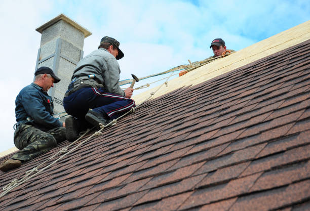 Best Roof Maintenance Services  in Parkland, WA