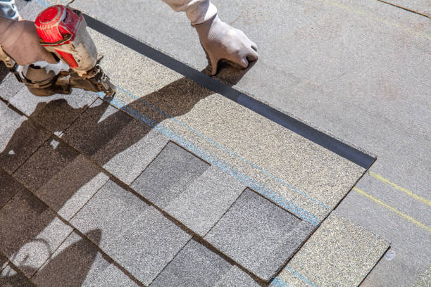 Best Metal Roofing Contractor  in Parkland, WA