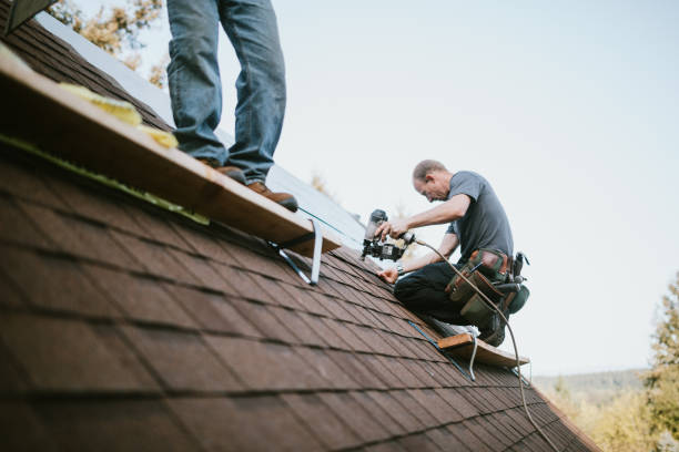 Best Roof Leak Repair  in Parkland, WA